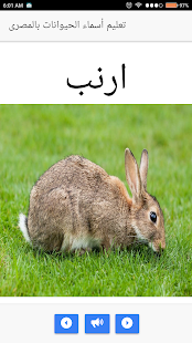 تعليم أسماء الحيوانات بالمصرى - náhled