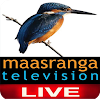 Maasranga Tv Live icon