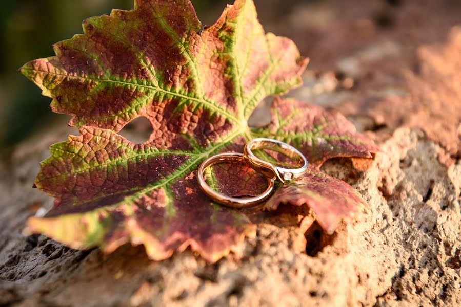 Wedding photographer Massimiliano Pioltelli (wolmark). Photo of 21 April 2017