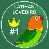 Latihan Suara Lovebird - Master Masteran Lovebird