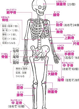 キャラ崩壊シリーズ！