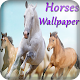 Download horse wallpapers and backgrounds lock screen theme For PC Windows and Mac 1.0.2