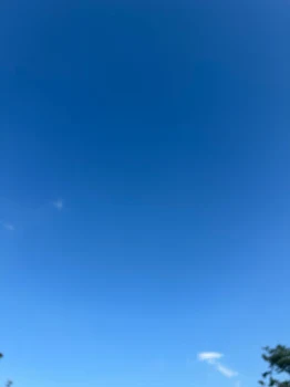 フォロワー様100人突破だぁぁー！！