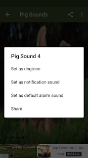 Pig Sounds - náhled