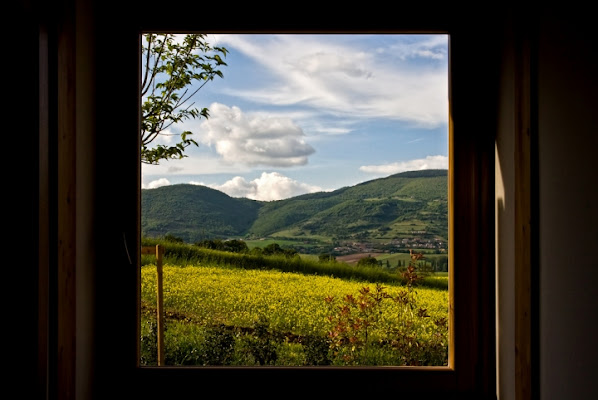 Una finestra sulla natura di babi83