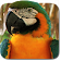 Parrot Live Wallpaper icon