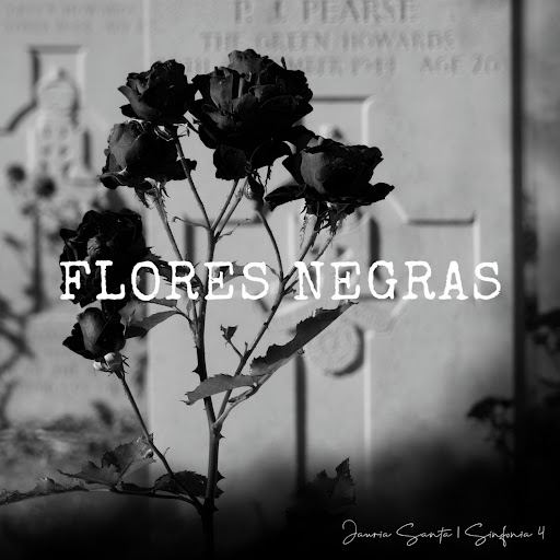 Flores Negras - YouTube Music