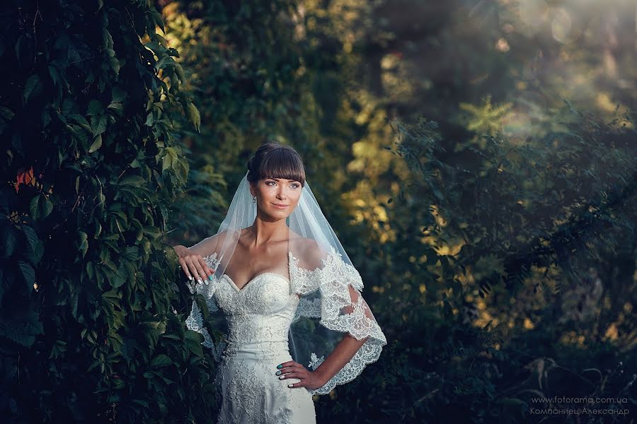 Fotógrafo de bodas Aleksandr Kompaniec (fotorama). Foto del 12 de septiembre 2015