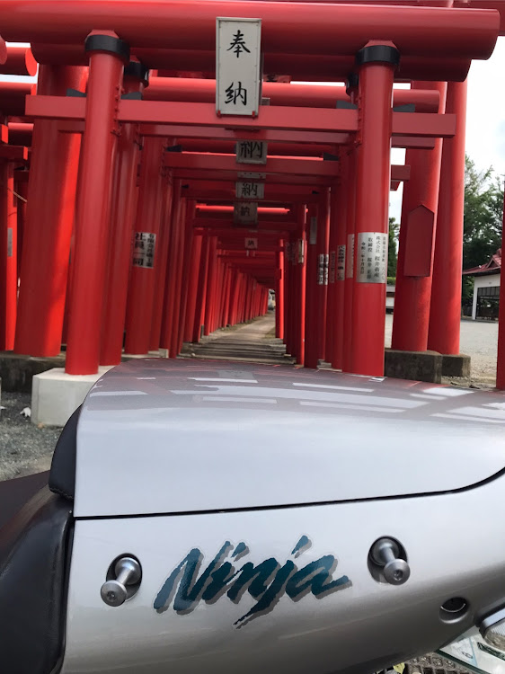 みねやんさんが投稿した鼠Ninja・バイクネタ失礼します・⛩&黄金の絨毯コラボ・ホワイトレター・不正改造車排除強化月間に関するカスタム事例の投稿画像4枚目