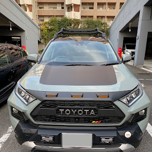 RAV4 MXAA54