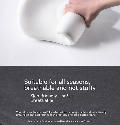 Title 13, Car backrest cushion and lumbar pillow for ulti...