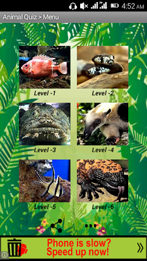 Animal Quiz