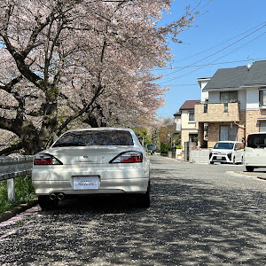 シルビア S15