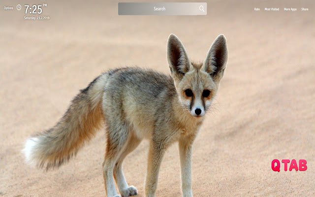 Cute Foxes s Wallpapers Cute Foxes s New Tab