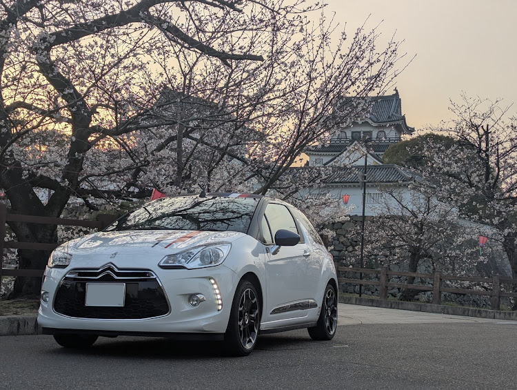 DS3 カブリオの早朝ドライブ・早朝撮影・桜コラボ・ご近所の桜の名所？wwに関するカスタム事例の投稿画像1枚目