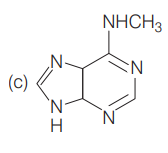 Chemical reactions of amines