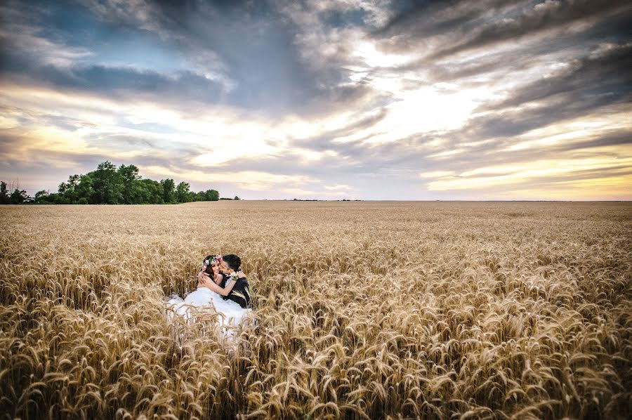 Fotograf ślubny Pavel Moschenko (mrsunday). Zdjęcie z 25 lutego 2015