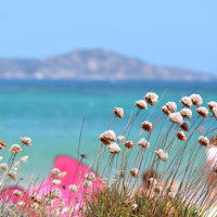 Il Mare come Sfondo di 