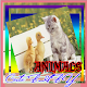 Download Cute BABY Animals Pictures For PC Windows and Mac 1.1