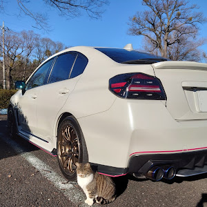 WRX S4 VAG