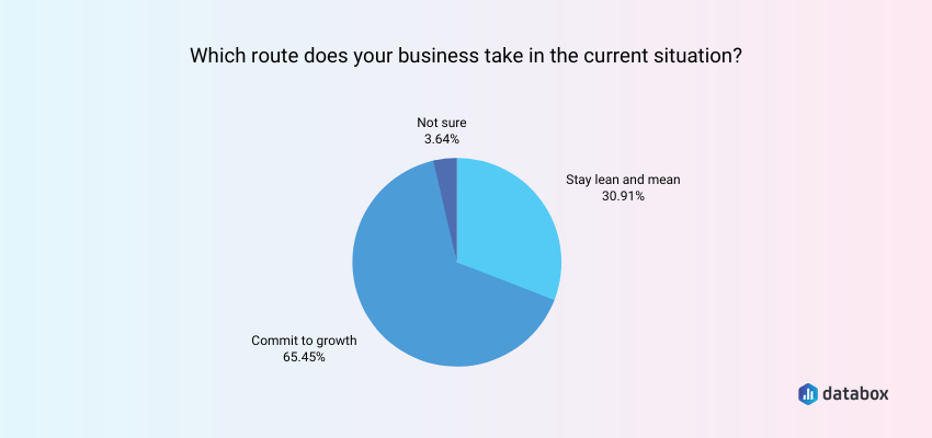 Committing to Growth vs. Staying Lean and Mean