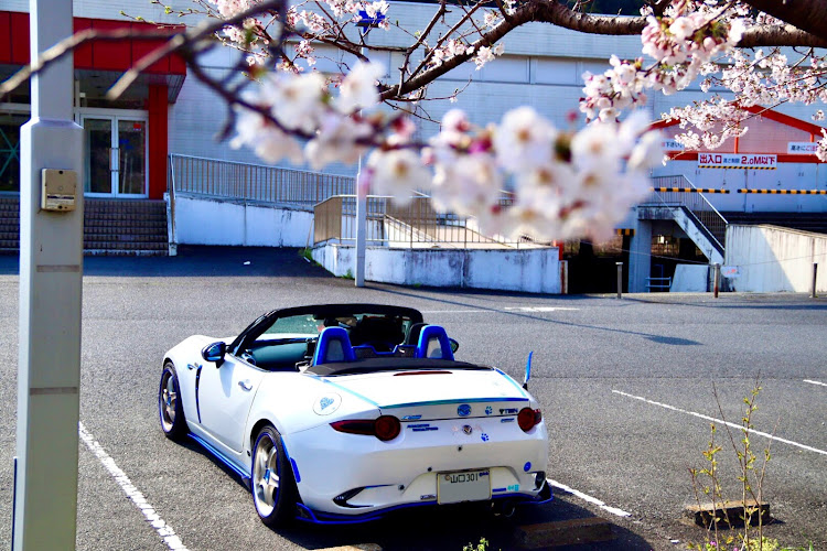 ロードスターの桜とコラボ・コロナウイルスに負けるな・医療従事者にエールを❗️・two-kに関するカスタム事例の投稿画像1枚目