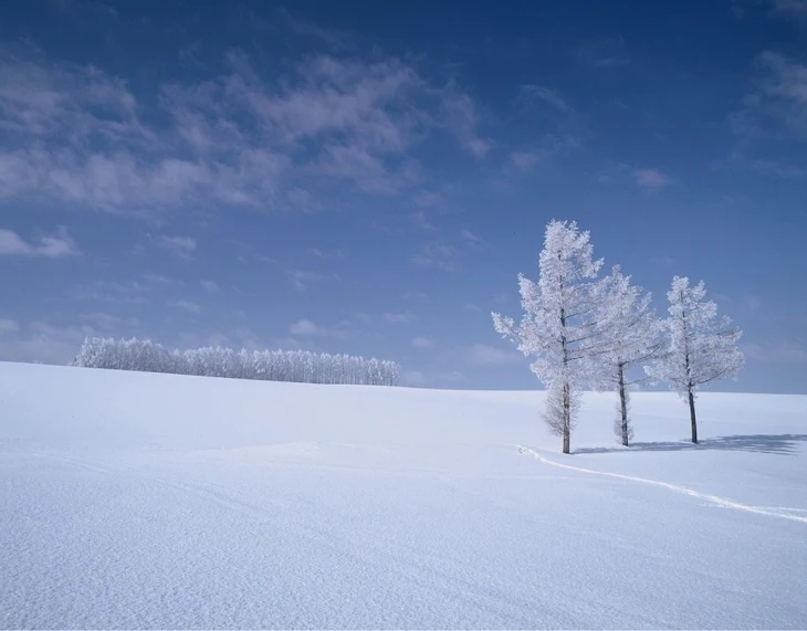 「雪原」のメインビジュアル