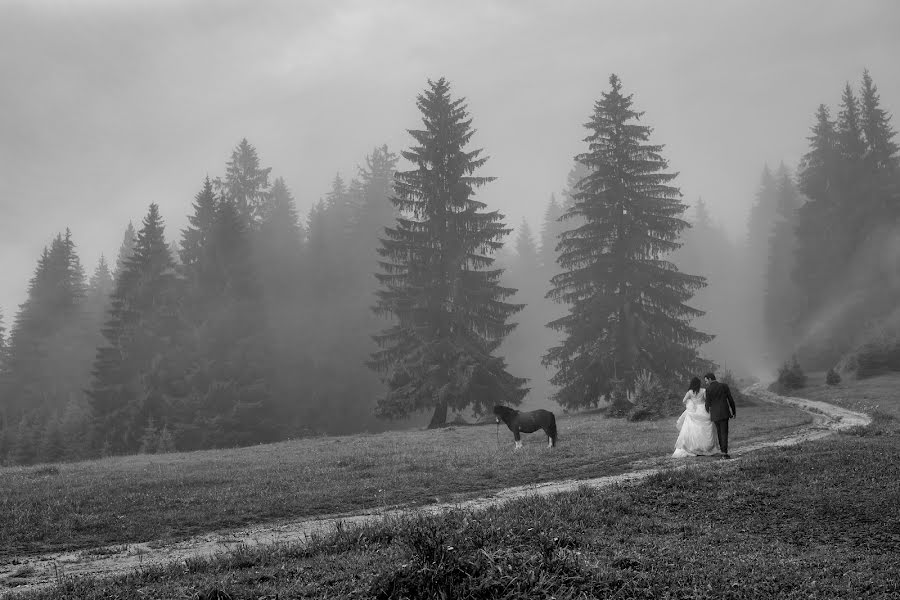 Fotógrafo de bodas Ionut Gheonea (ionutgheonea). Foto del 20 de julio 2018