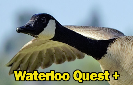 Waterloo Quest+ small promo image