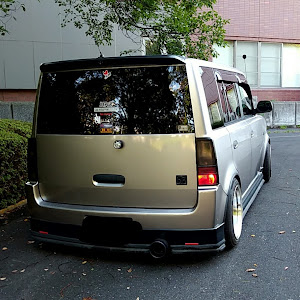bB NCP31