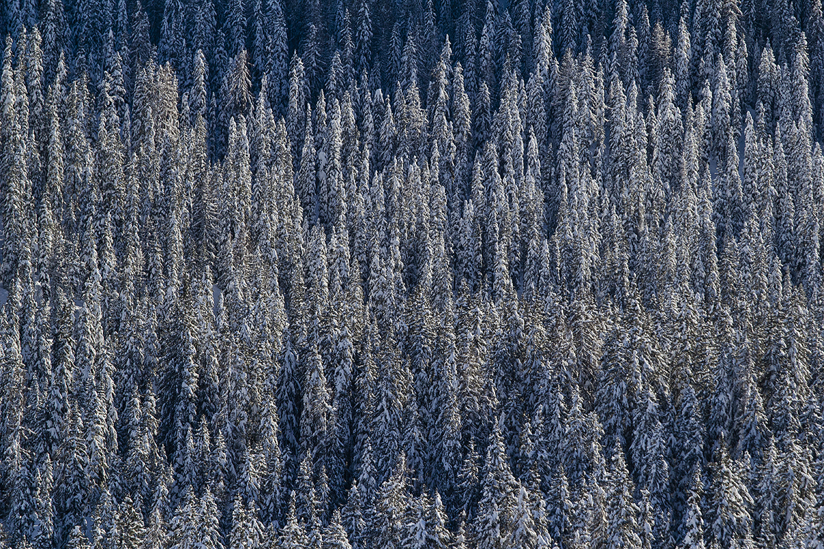 Soldatini di neve di edidf