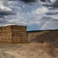 Fieno e Arcobaleno di 