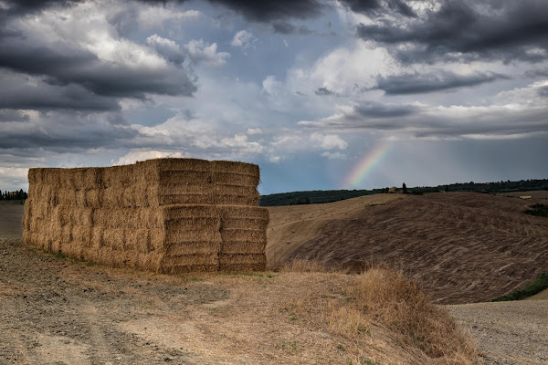 Fieno e Arcobaleno di Miki Sarace