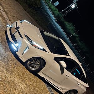 プリウス ZVW51