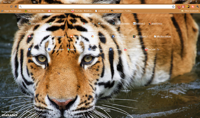 Royal Bengal Tiger 1440x900 chrome extension