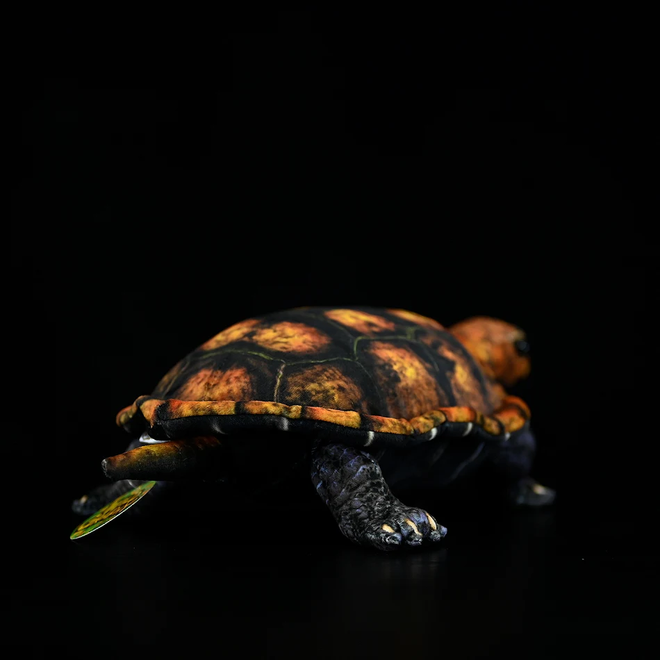 Cute And Realistic Japanese Stone Turtle Plush Toy. Perfect for cuddling, decorating, and gifting. Unique, charming desi