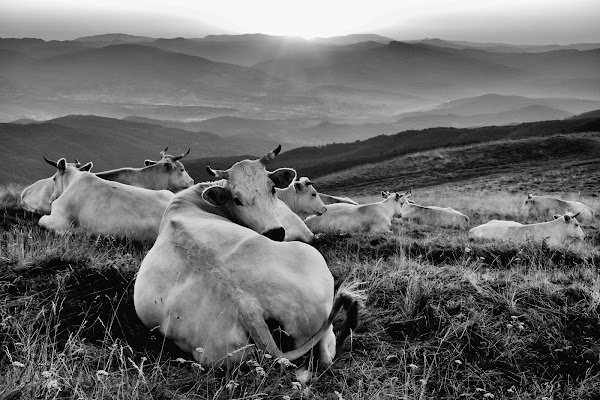 La pace dell'alba... di effeenne