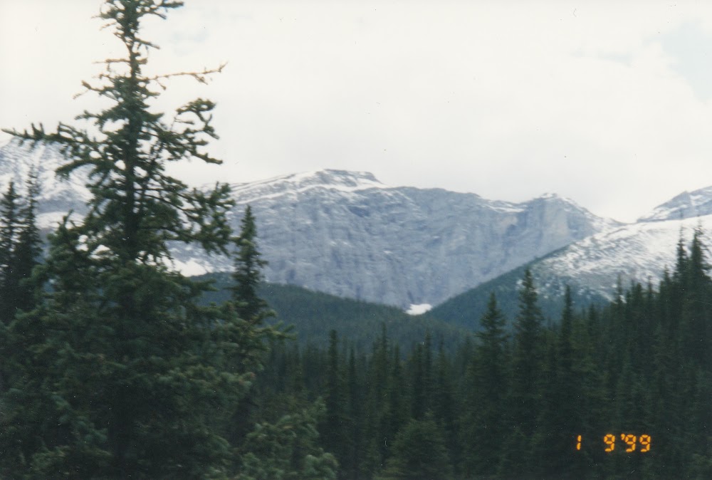 Willmore Wilderness Park, Alberta, Horseback Riding