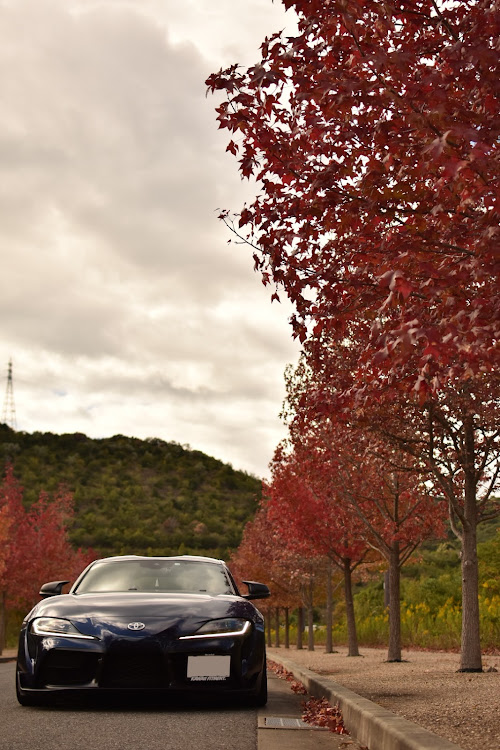 スープラの紅葉と愛車・紅葉・いきいきパークみさき・ぷちDIY・いつもイイね&コメントありがとうございます😊に関するカスタム事例の投稿画像2枚目