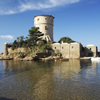 Isola del Giglio di 