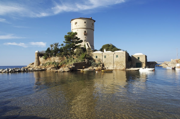 Isola del Giglio di verena grottesi