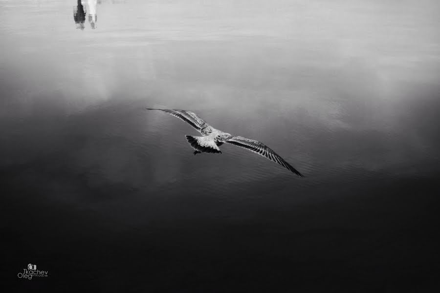 Düğün fotoğrafçısı Oleg Tkachev (tkachev-foto). 11 Mayıs 2019 fotoları