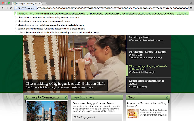 BLAST for Chrome chrome extension