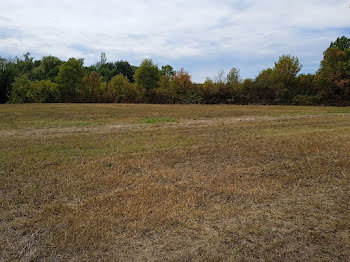 terrain à Blaye (33)