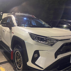 RAV4 AXAH54