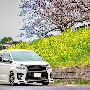 ヴォクシー ZRR80W