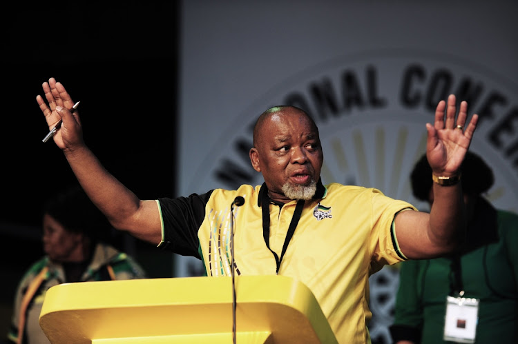 ANC chairperson Gwede Mantashe, plans to retire 'gracefully'.