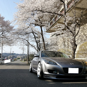 RX-8 SE3P