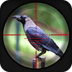 Cover Image of ดาวน์โหลด Forest Crow Hunting Simulation 2018 1.4.3 APK