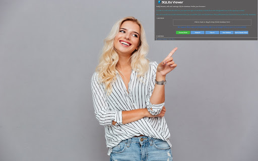 SQLite Manager for Google Chrome™